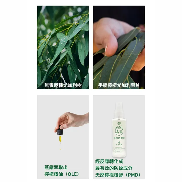 【福來朗】PMD森寧天然防蚊液80ml｜防蚊液｜防蚊噴霧｜小黑蚊｜長效防蚊｜孕婦｜3歲以上幼童適用