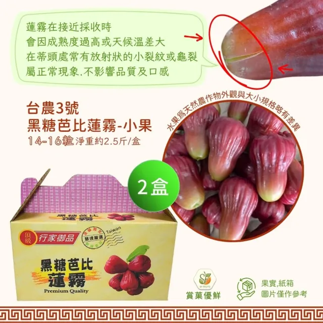 【賞菓優鮮】六龜荖濃溪畔黑糖芭比蓮霧精美小果禮盒2盒(14-16粒/2.5斤X2盒)(蓮霧界LV美譽_產地現採直送)