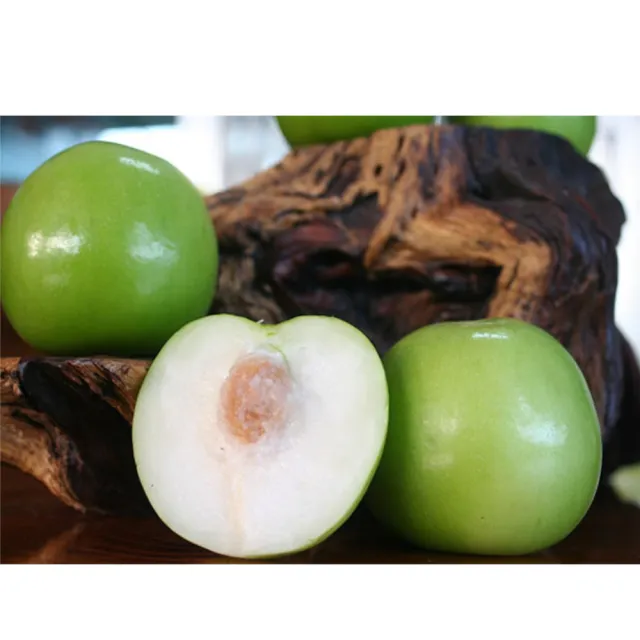 【黑貓嚴選】棗樂子 檜木蜜棗禮盒4盒(3000g/盒；春禮；伴手禮；年節禮盒；水果禮盒)