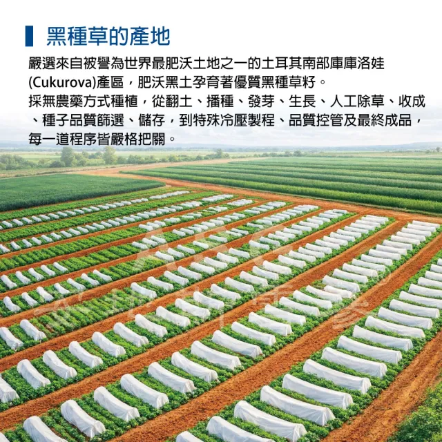 【愛善那】第一道冷壓初榨黑種草油100ml(高含量『百里醌』純素食)