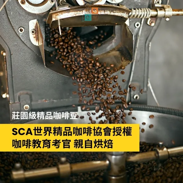 【Cozyhouse 暖窩】經典中焙豆 精選產區咖啡豆 6入組 半磅x6(227g/包 巴西、尼加拉瓜、瓜地馬拉)