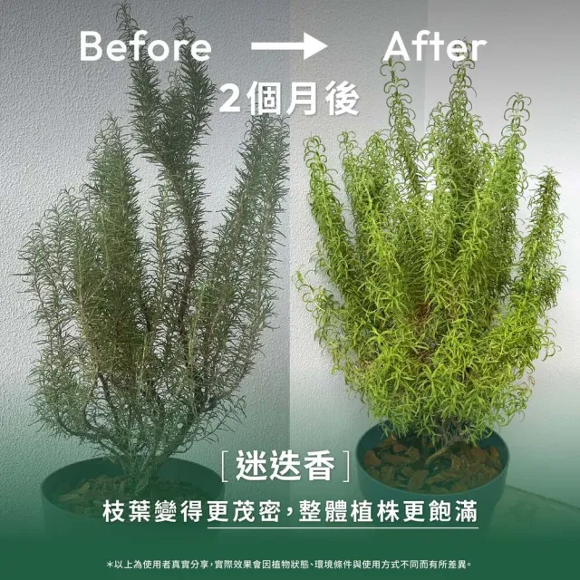 【1%植物關鍵】植物保養噴霧300ml+植物營養精華60ml(室內植物肥料 盆栽液肥 多肉養分 居家植栽營養劑 施肥)