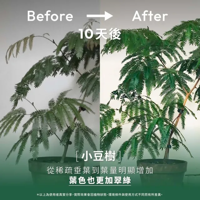 【1%植物關鍵】植物保養噴霧300ml+植物營養精華60ml(室內植物肥料 盆栽液肥 多肉養分 居家植栽營養劑 施肥)