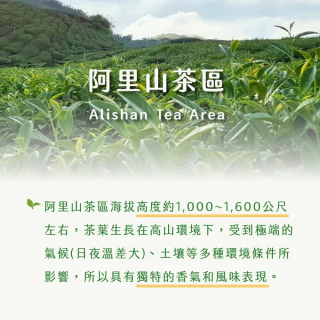 【xiao de tea 茶曉得】雙11推薦阿里山嫩芽鮮採烏龍茶葉(150gx12包-3斤)
