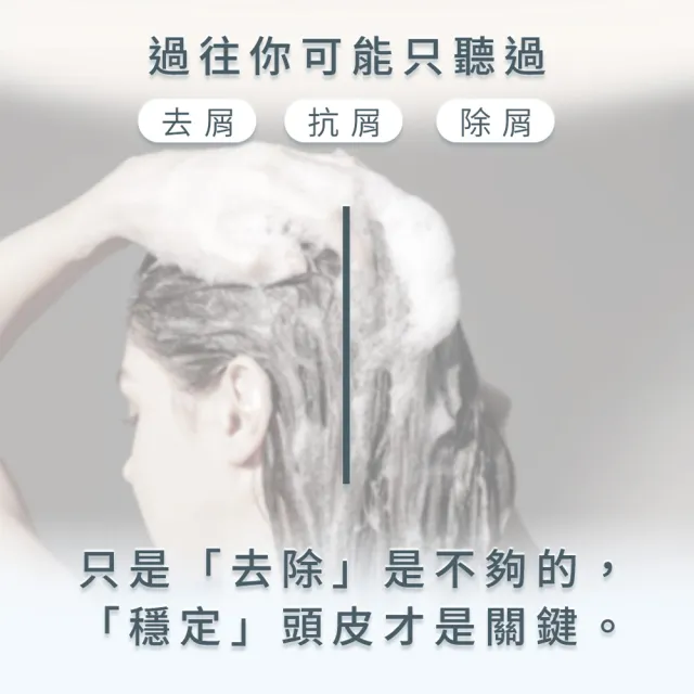 【EPURE】A2 積雪草淨屑洗髮露500ml (油性混和肌/抗頭皮屑/強化防禦)