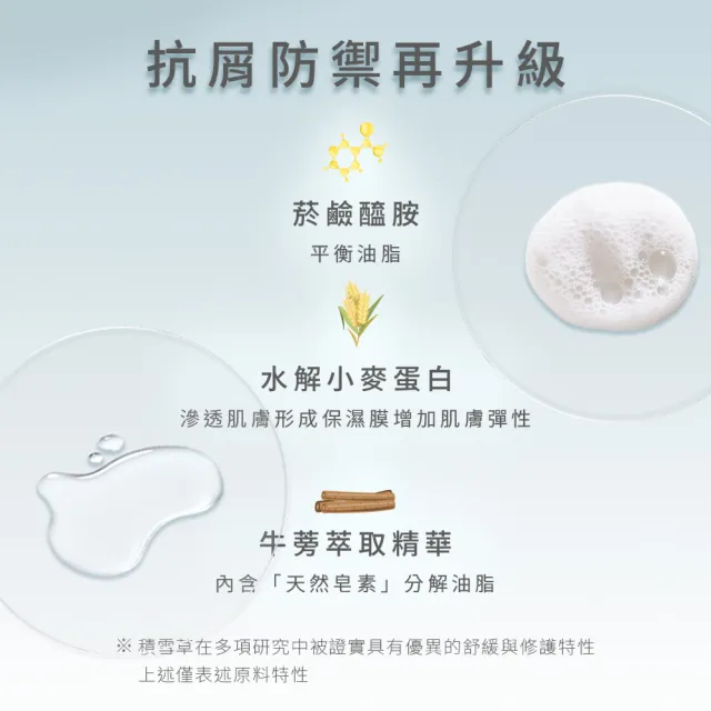 【EPURE】A2 積雪草淨屑洗髮露500ml (油性混和肌/抗頭皮屑/強化防禦)