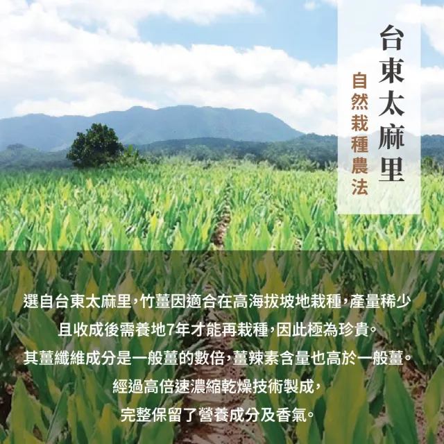 【Dr. Ginger 薑博士】竹薑粉2瓶組(80g/瓶)