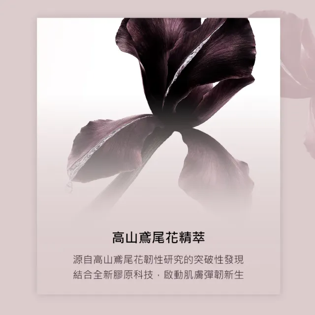 【YSL】官方直營  極效胜肽提拉抗皺精華30ml (新品上市)