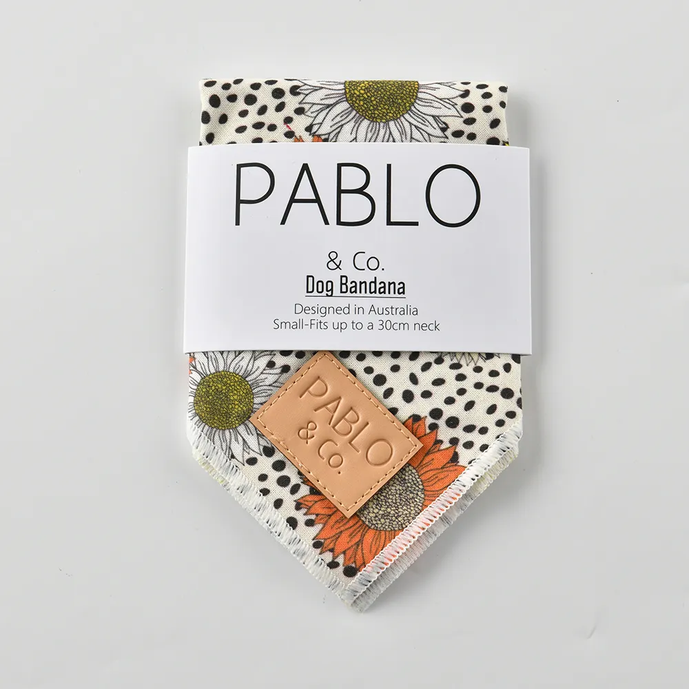 【Pablo & Co】寵物領巾 毛小孩 領巾 方巾 南法向日葵 S