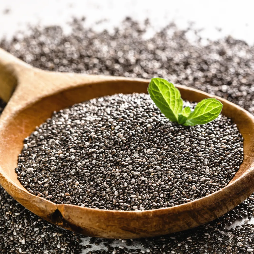 【SUPERFOOD】天然奇異籽-奇亞籽500gx1入