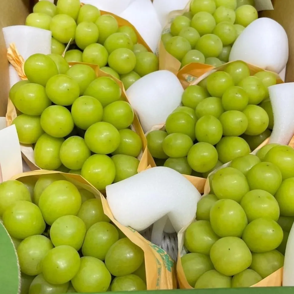 【RealShop】日本超大串空運麝香葡萄1.5kg±10%x1盒(2房裝 水果禮盒 送禮)