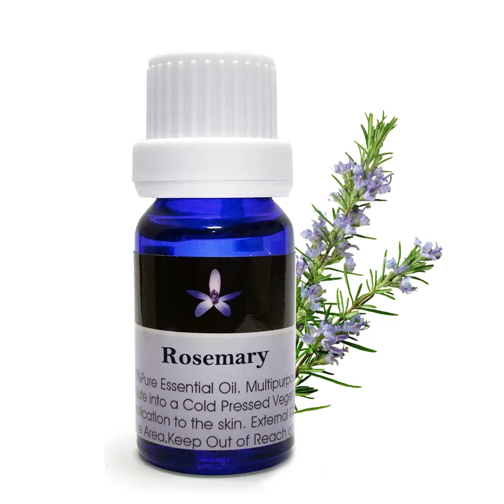 【BodyTemple 身體殿堂】迷迭香/薑/檸檬草芳療精油10ml(三種精油10ml任選一瓶)