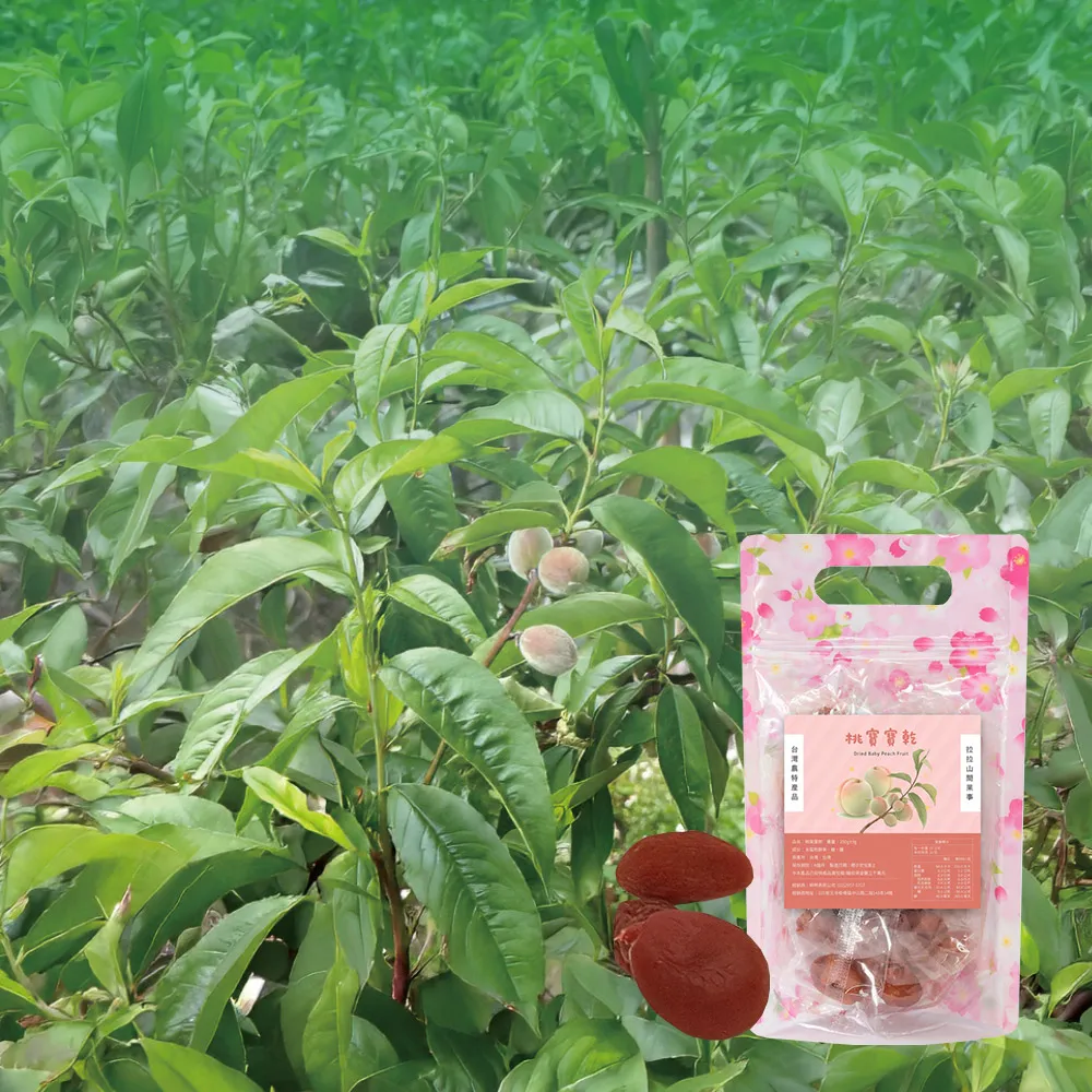 《拉拉山間果事》拉拉山桃寶寶乾x3包(250g/包_整顆水蜜桃粒)