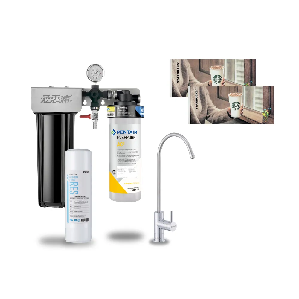 【EVERPURE 愛惠浦】櫥下型 PURVIVE Duo-AC2兩道式生飲淨水器(前置樹脂)