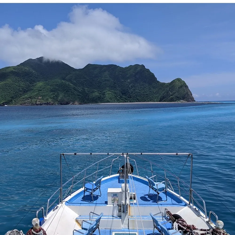 【宜蘭-新福豐36號】賞鯨+環龜山島+登島-兒童票