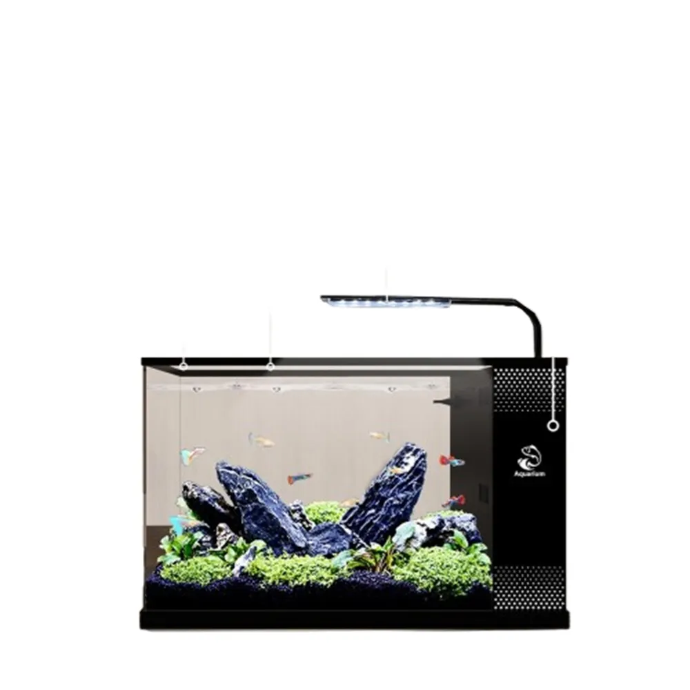 【星治】30*15*20 自動循環智能魚缸 懶人魚缸 亞克力生態魚缸 側濾生態魚缸  預售十二工作天(造景套餐)