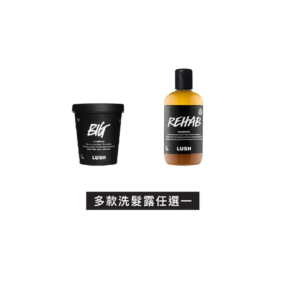 【LUSH 嵐舒】潔淨亮澤洗髮露 250g 多款任選1(Big 豐盈 -QWER演唱會香氣/Rehab 水果特調)