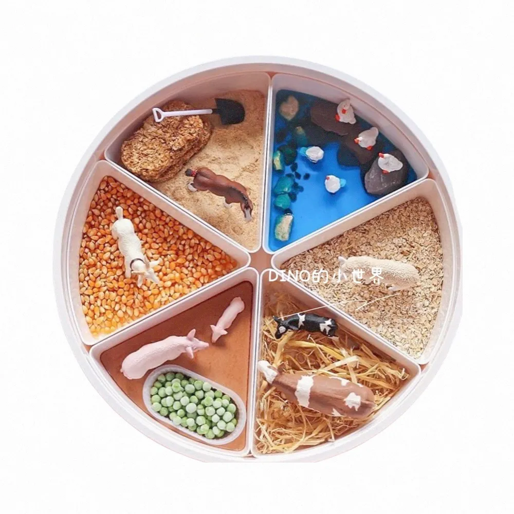 【小孩子】蒙特梭利六格 感官盆 Sensory Tray 兒童感官啟蒙(兒童感統啟蒙)